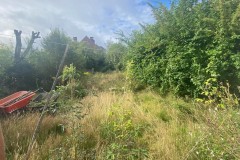 garden-Before