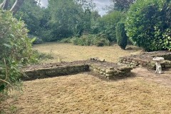 garden-after